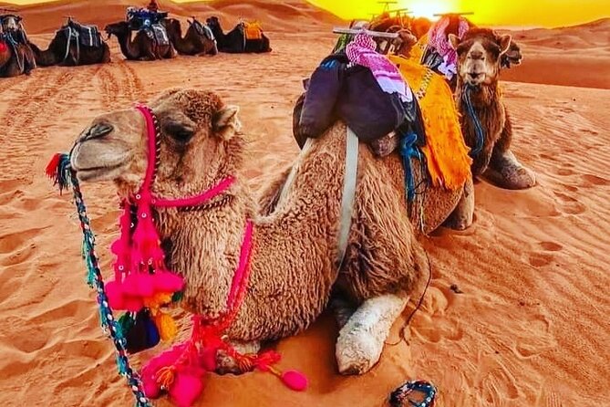 10 Days Tour Marrakech